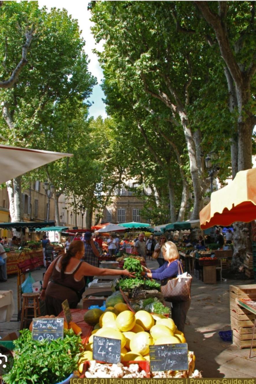 Superbe Appartement Avec Jardin Quart Mazarin Aix-en-Provence Luaran gambar